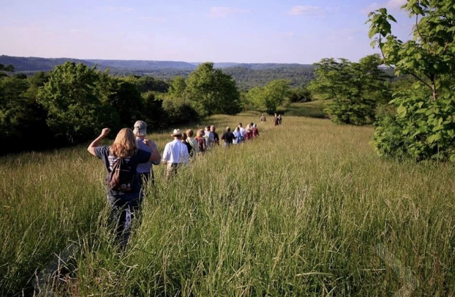 Morning View Heritage Area Park